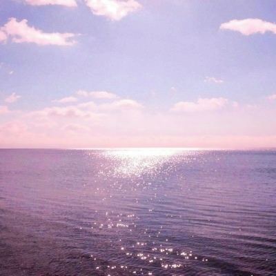 安博app官方网站截图